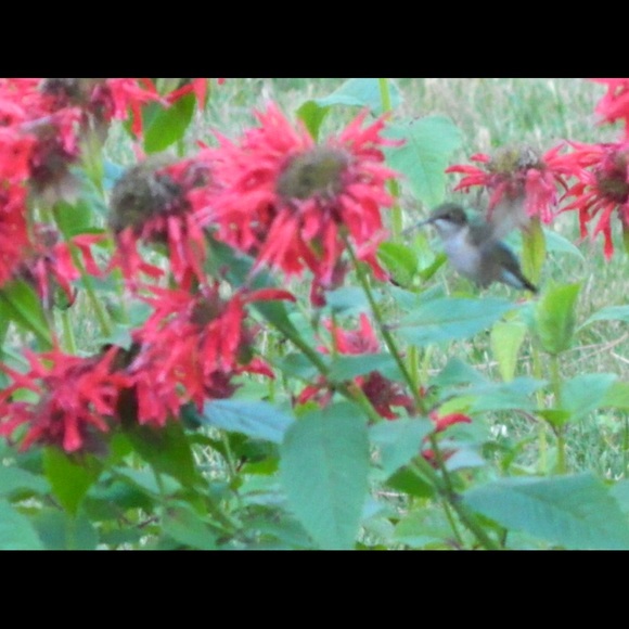 Meet your Posher, Lorna - Offers Welcome! - Picture 3 of 4